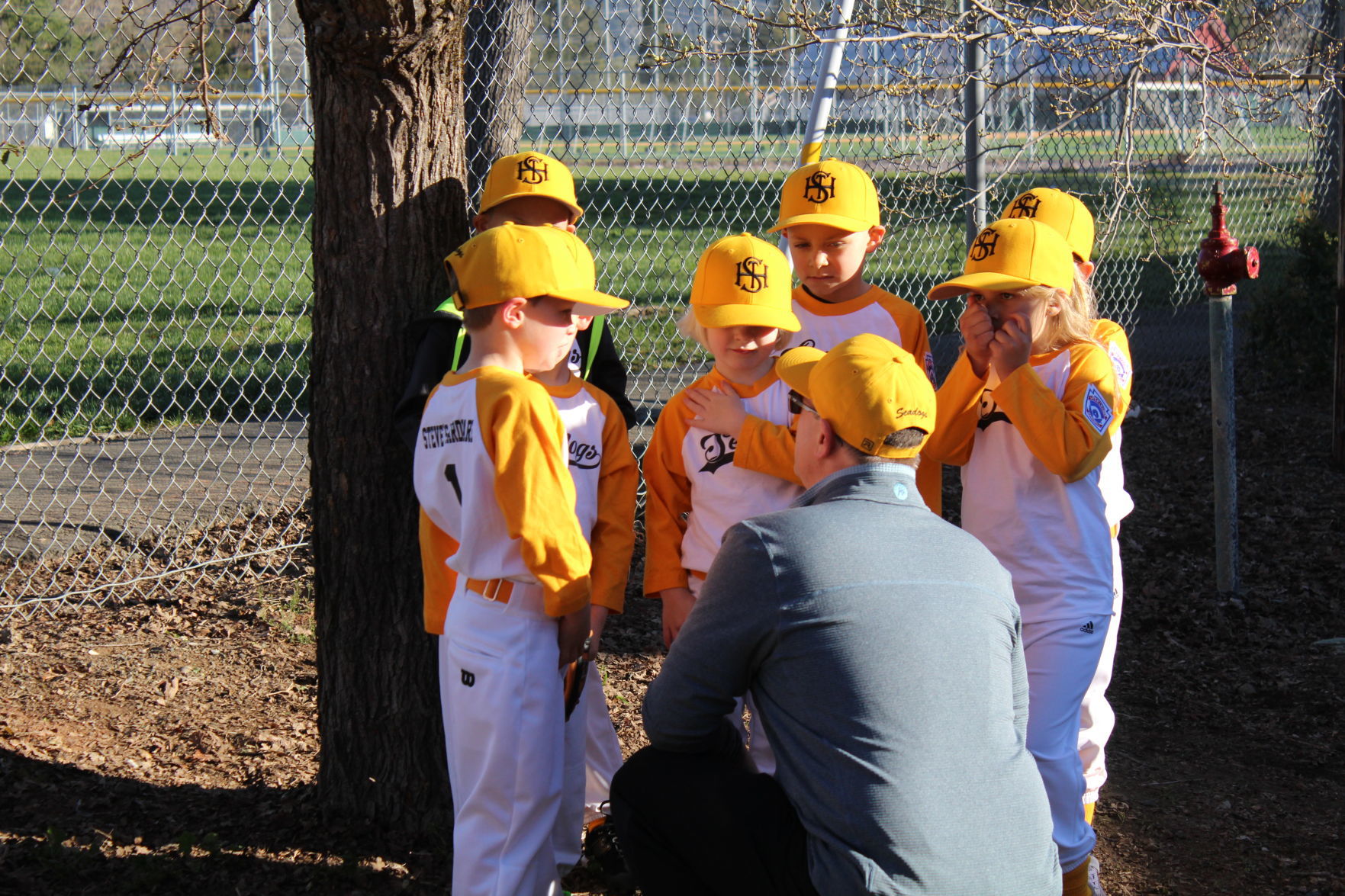 St. Helena Little League